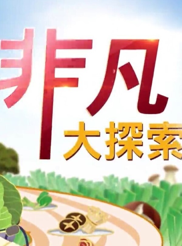 精品偷拍美女被操的满口淫语大叫喜欢你操我鸡巴又粗又长把我小骚逼都操开了好痒啊 - 农民伯伯